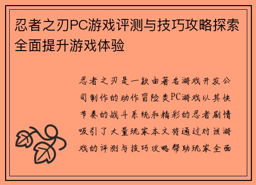 忍者之刃PC游戏评测与技巧攻略探索全面提升游戏体验