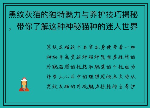 黑纹灰猫的独特魅力与养护技巧揭秘，带你了解这种神秘猫种的迷人世界